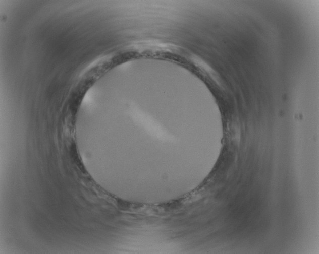 X0000082691063200702232158