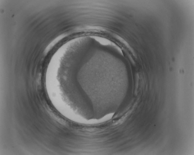 X0000082691066200702232158