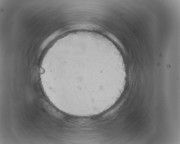 X0000082691067200702232158