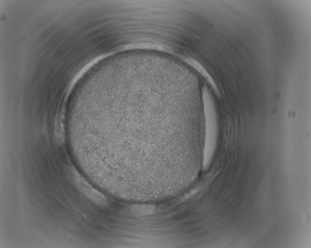 X0000082691068200702232158