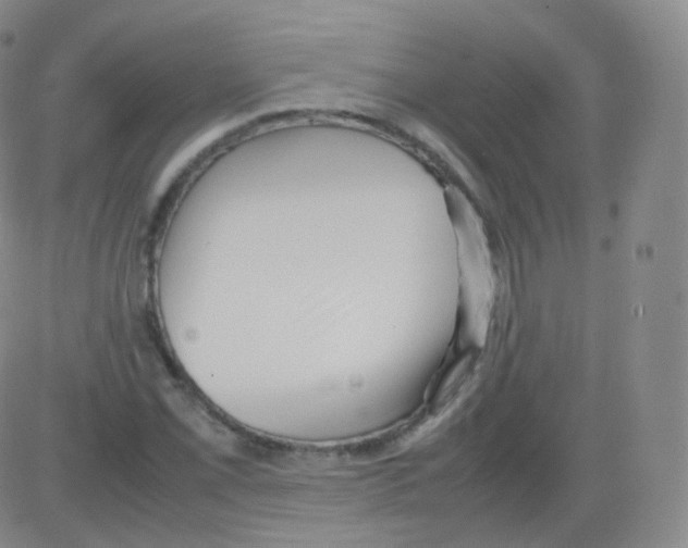 X0000082691069200702232158