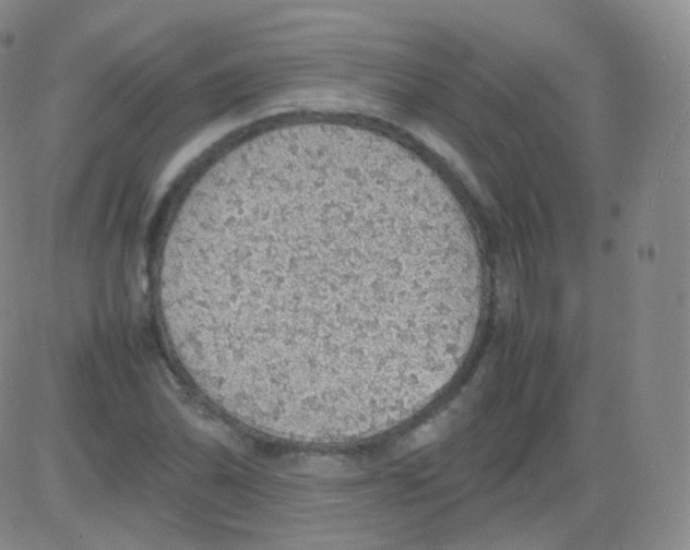 X0000082691070200702232158