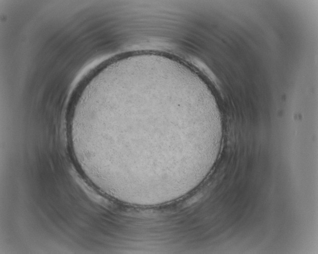 X0000082691072200702232158