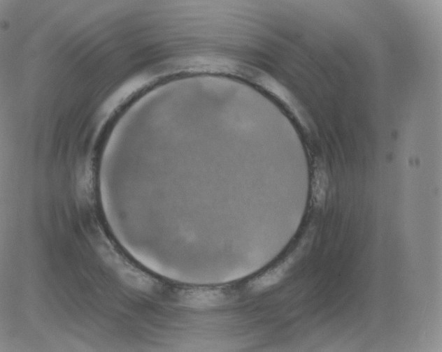 X0000082691074200702232158