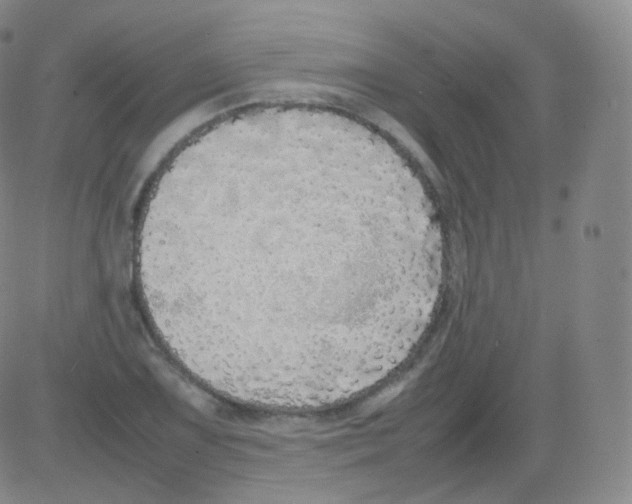 X0000082691075200702232158