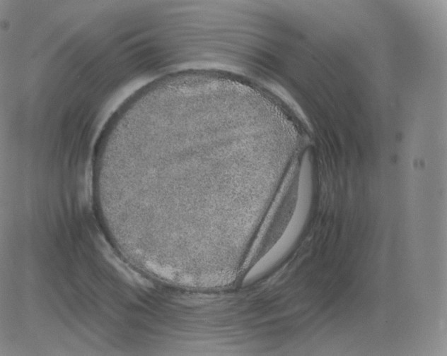 X0000082691076200702232158