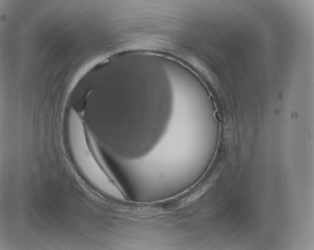 X0000082691077200702232158