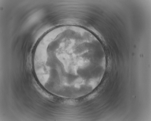 X0000082691078200702232158