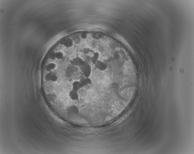 X0000082691079200702232158