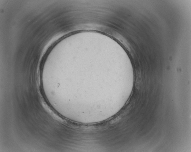 X0000082691080200702232158