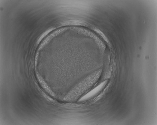 X0000082691081200702232158