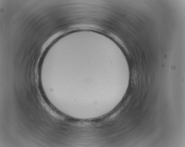 X0000082691082200702232158