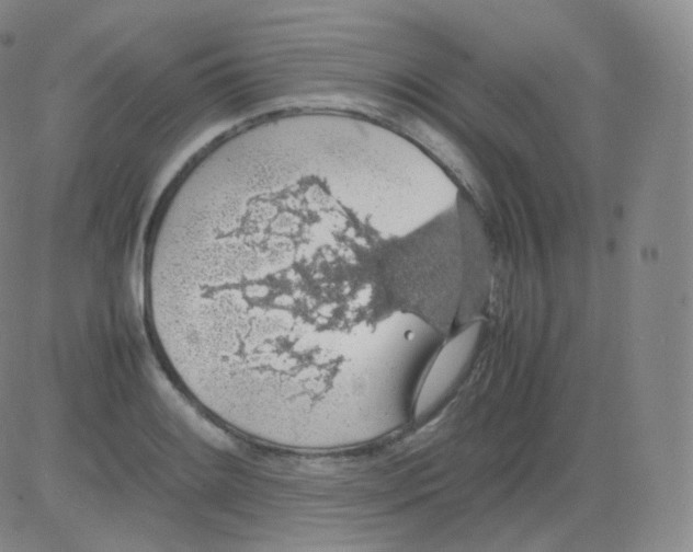 X0000082691084200702232158