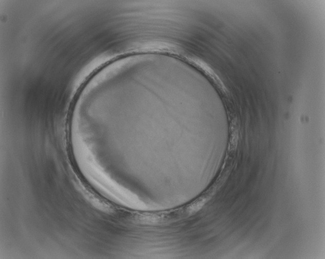 X0000082691086200702232158