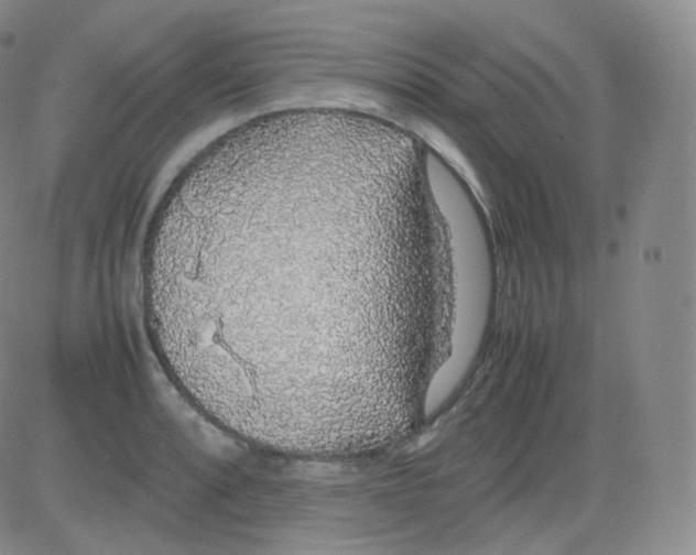 X0000082691088200702232158