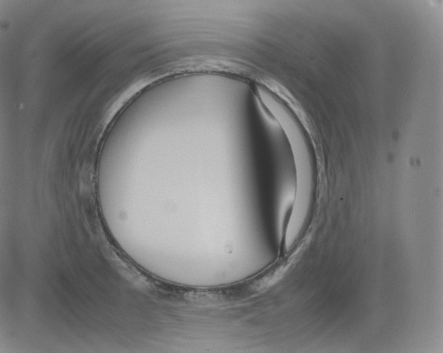 X0000082691089200702232158