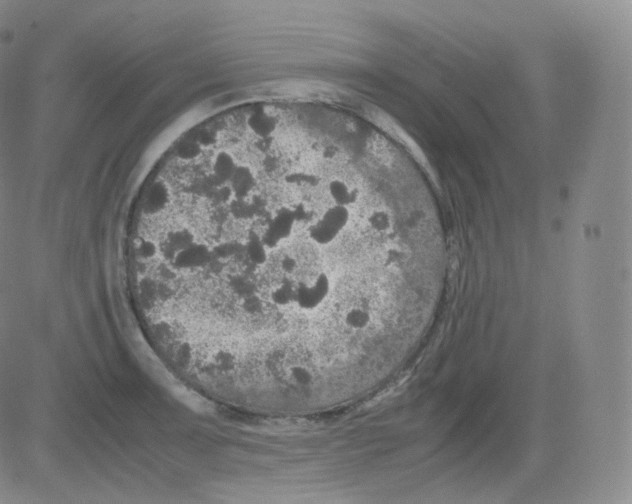 X0000082691091200702232158