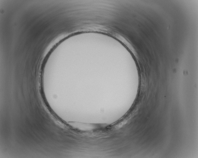 X0000082691093200702232158