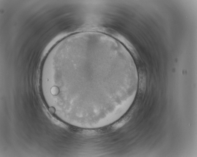 X0000082691094200702232158