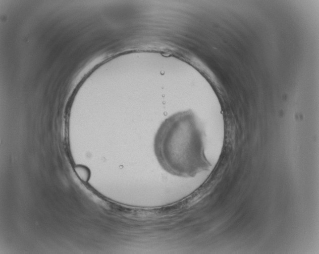 X0000082691095200702232158