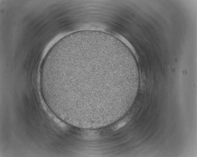 X0000082691096200702232158