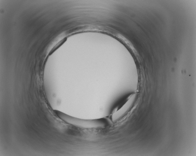 X0000082691097200702232158