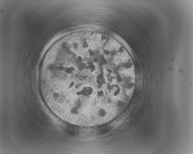 X0000082691099200702232158