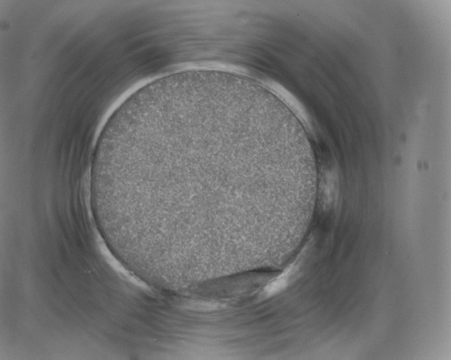 X0000082691100200702232158