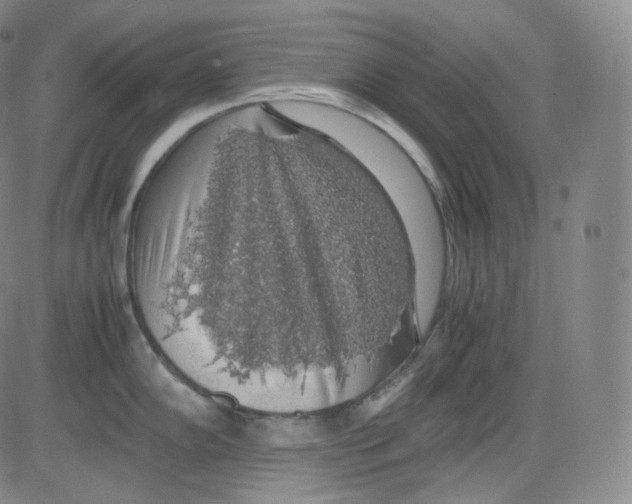 X0000082691102200702232158