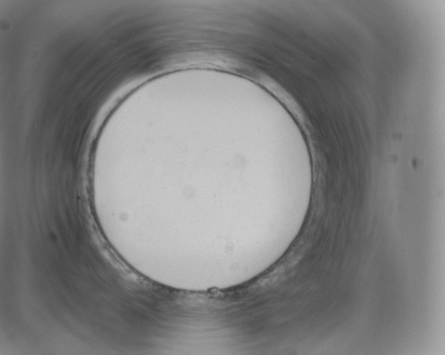 X0000082691104200702232158