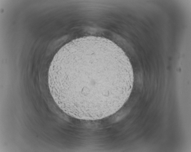 X0000082691105200702232157