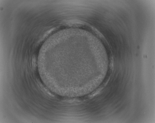 X0000082691108200702232157