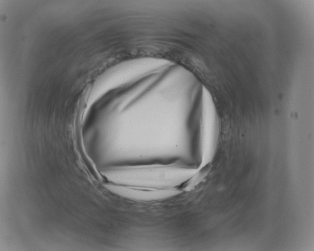 X0000082691109200702232157