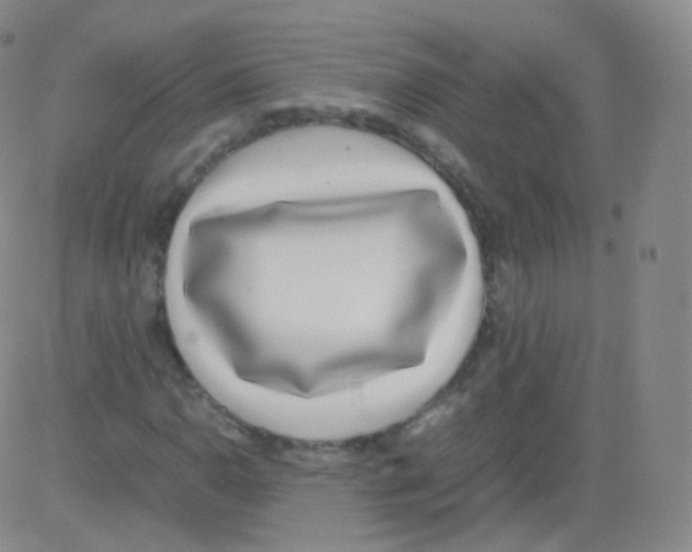 X0000082691110200702232157