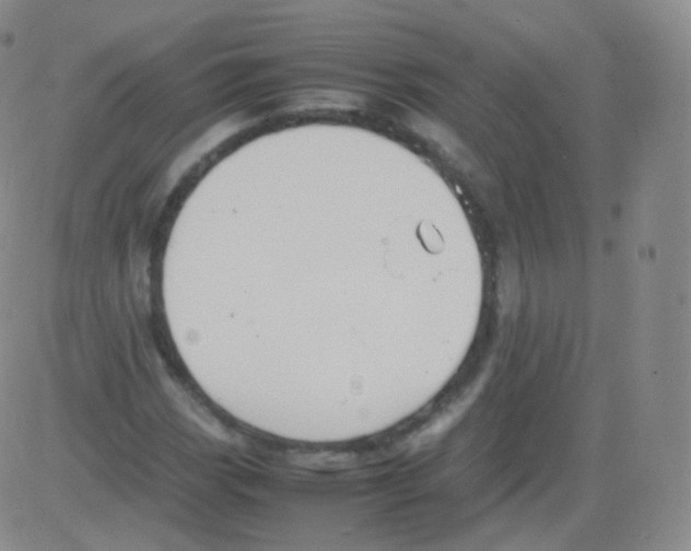 X0000082691113200702232157