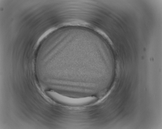 X0000082691114200702232157