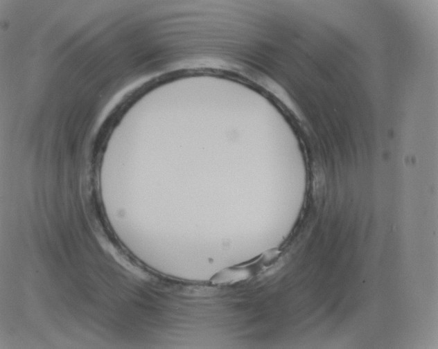 X0000082691116200702232157