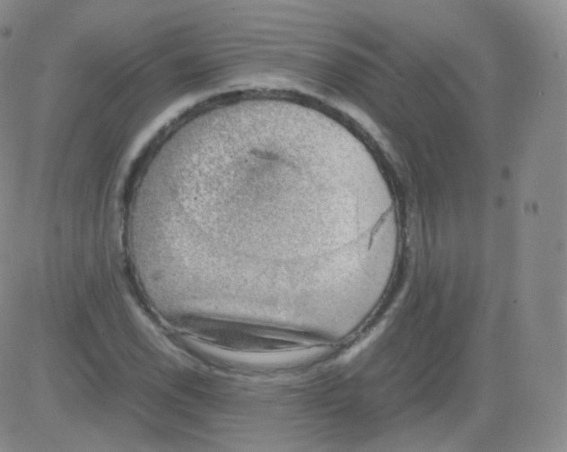 X0000082691118200702232157