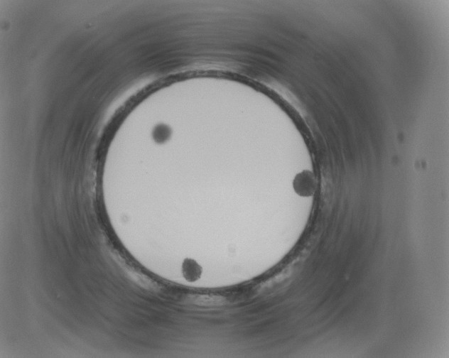 X0000082691119200702232157