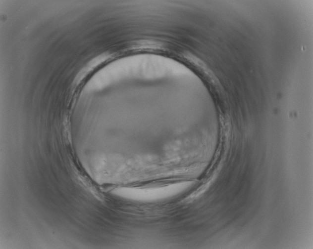 X0000082691121200702232157