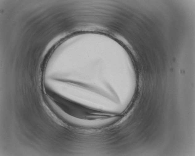 X0000082691122200702232157