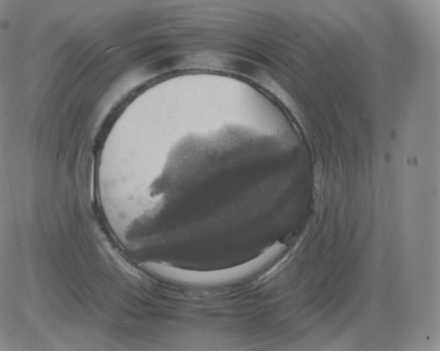 X0000082691123200702232157