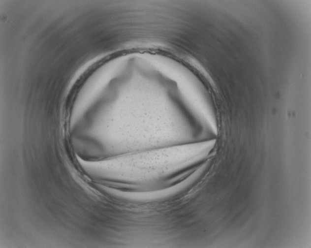 X0000082691124200702232157