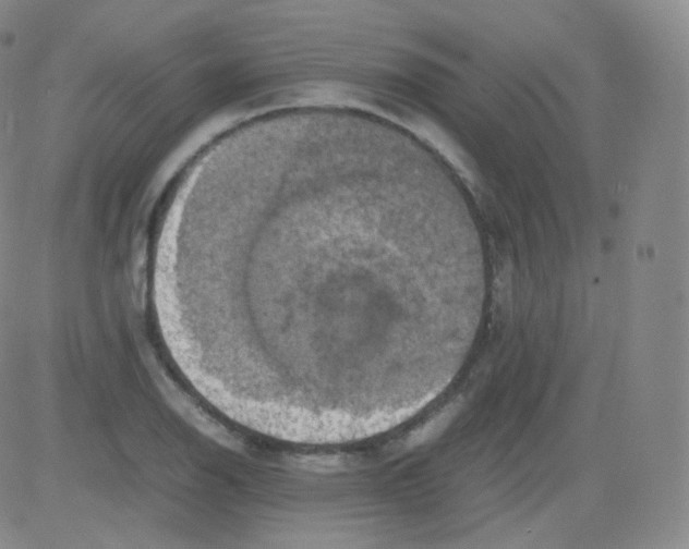 X0000082691126200702232157