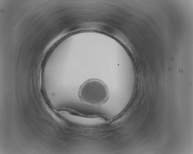 X0000082691127200702232157