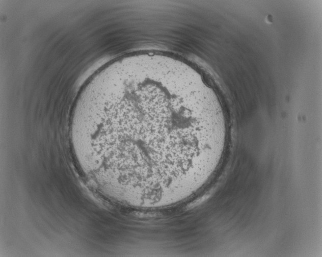 X0000082691129200702232157