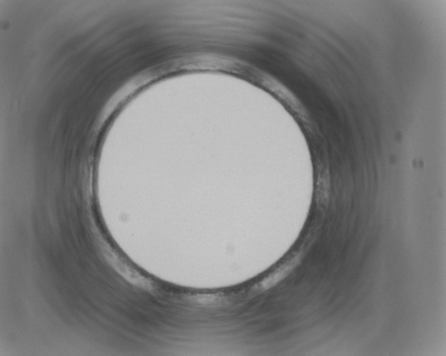 X0000082691130200702232157