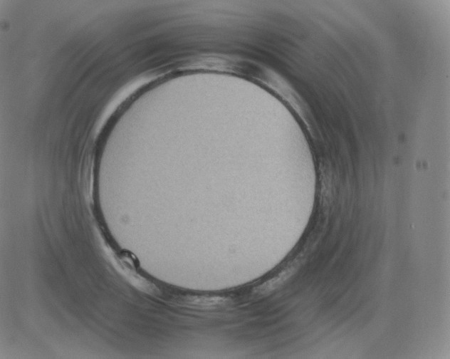 X0000082691131200702232157