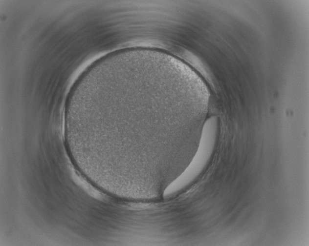 X0000082691132200702232157