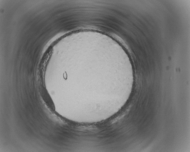 X0000082691133200702232157